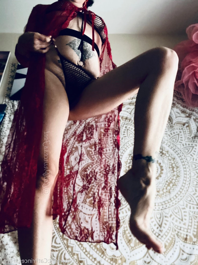 CatPrincess [ catprincessfeet ] Onlyfans leaked photo 7605794 on Hotleaks.tv