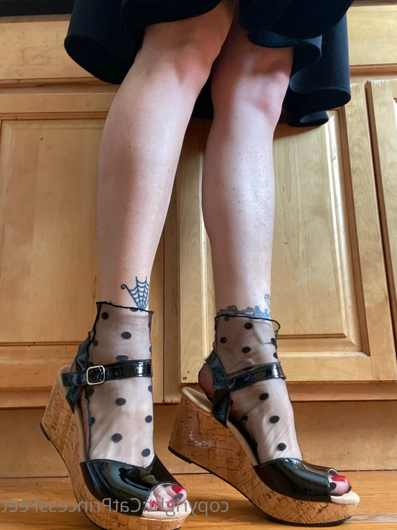 CatPrincess [ catprincessfeet ] Onlyfans leaked photo 7606198 on Hotleaks.tv