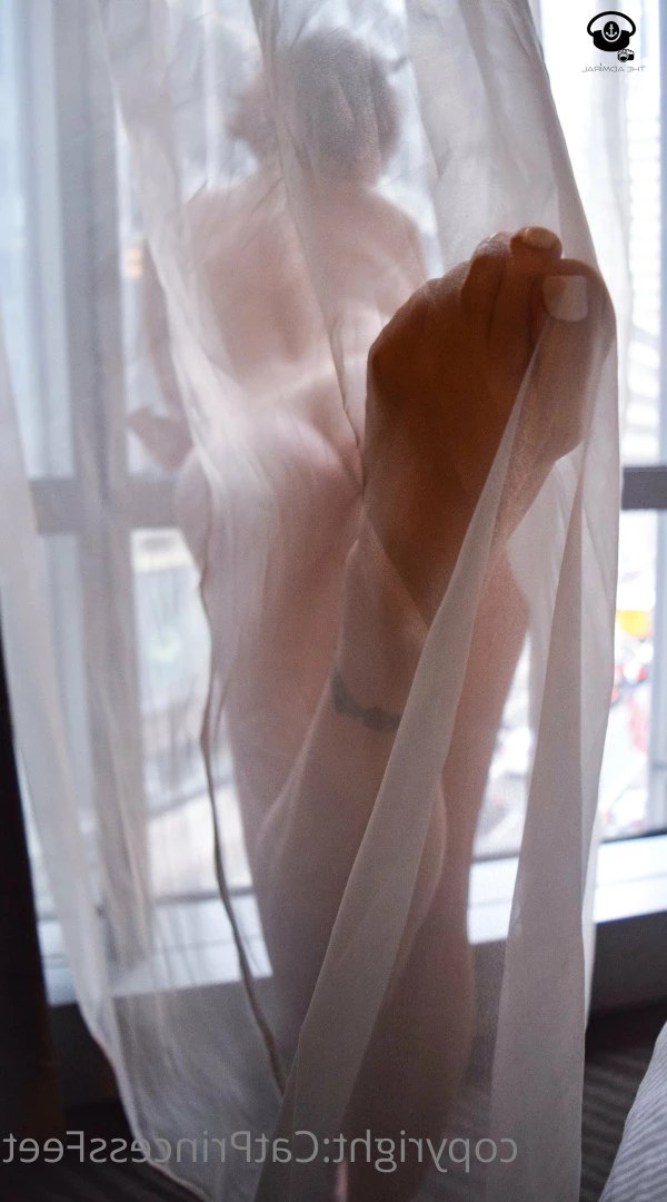 CatPrincess [ catprincessfeet ] Onlyfans leaked photo 7606394 on Hotleaks.tv