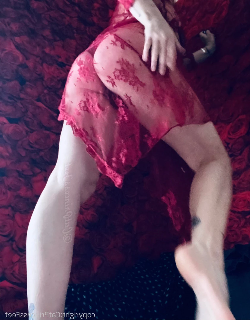 CatPrincess [ catprincessfeet ] Onlyfans leaked photo 7606408 on Hotleaks.tv