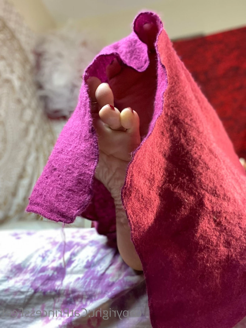 CatPrincess [ catprincessfeet ] Onlyfans leaked photo 7606428 on Hotleaks.tv