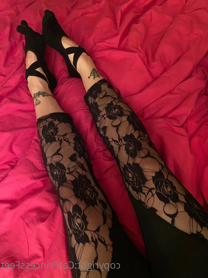 CatPrincess [ catprincessfeet ] Onlyfans leaked photo 7606734 on Hotleaks.tv