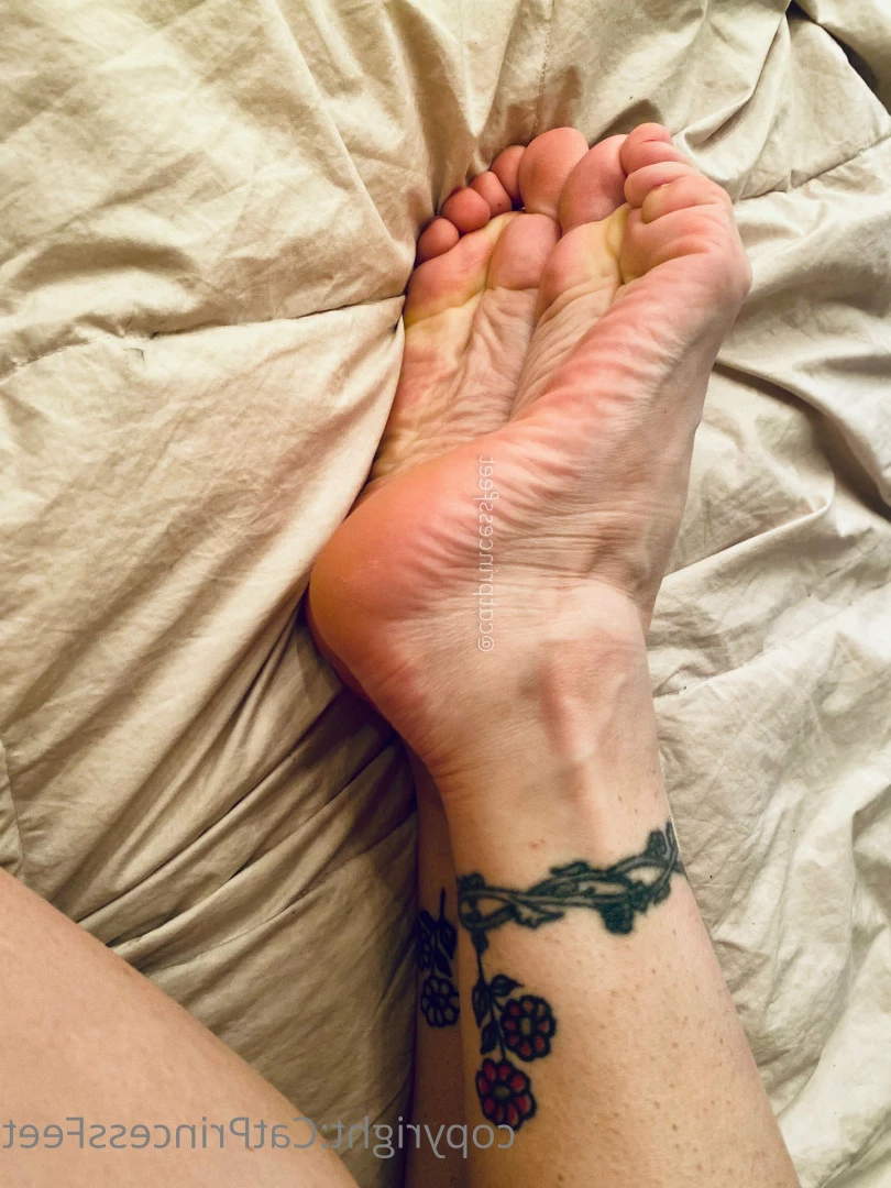 CatPrincess [ catprincessfeet ] Onlyfans leaked photo 7606808 on Hotleaks.tv
