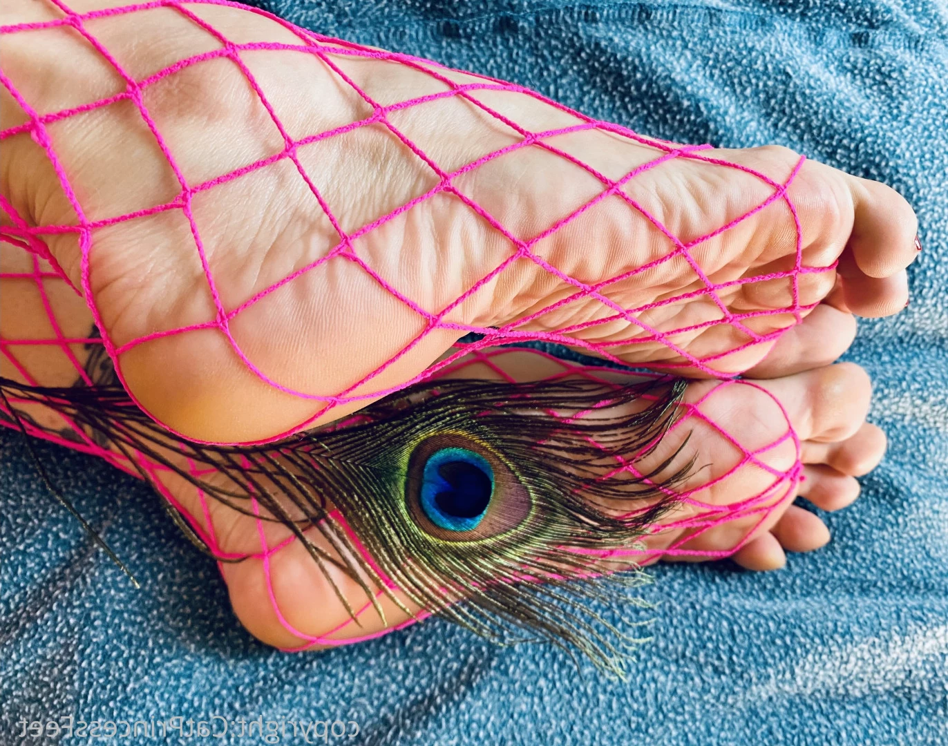 CatPrincess [ catprincessfeet ] Onlyfans leaked photo 7607437 on Hotleaks.tv