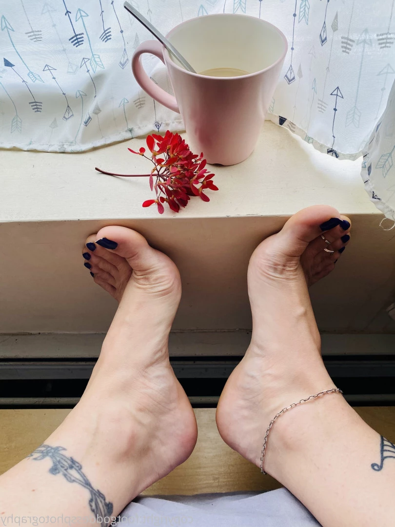 CatPrincess [ catprincessfeet ] Onlyfans leaked photo 7607551 on Hotleaks.tv