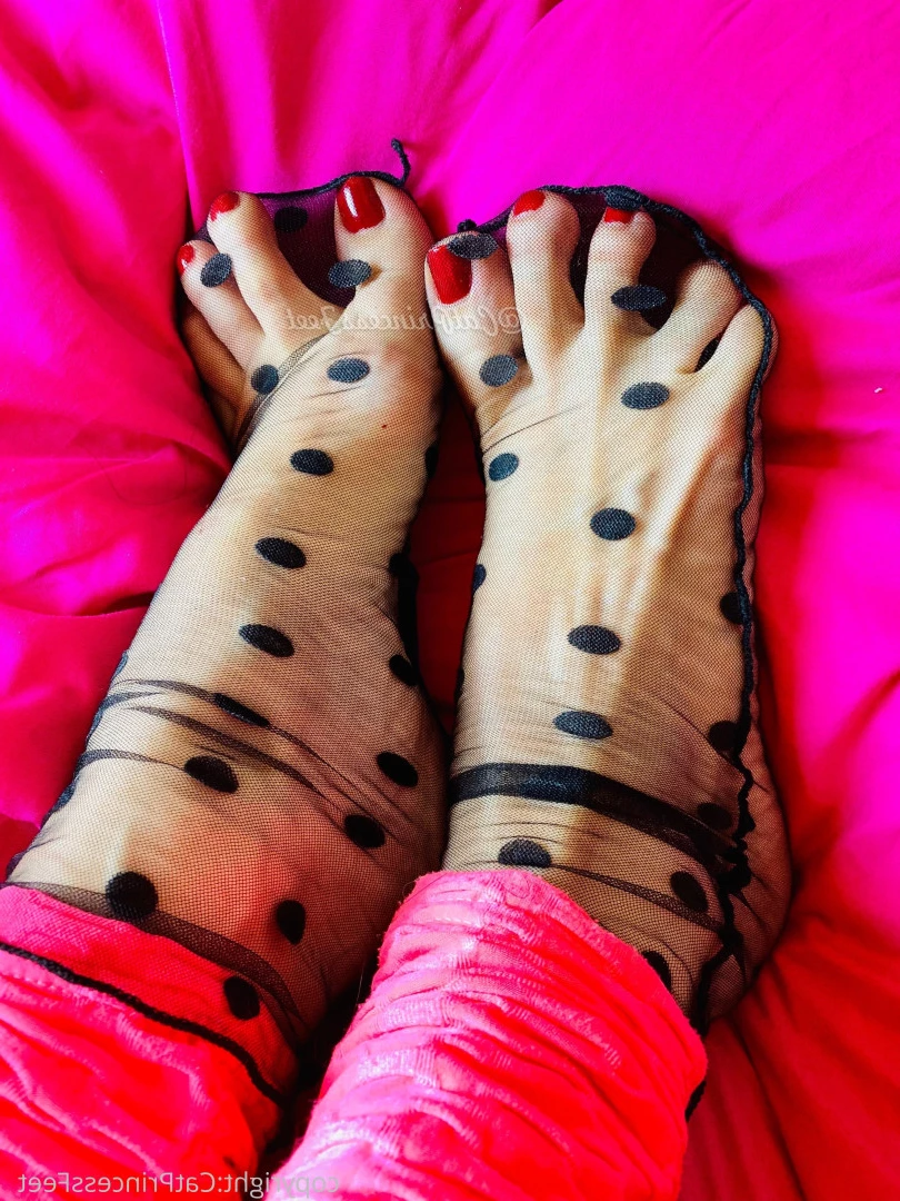 CatPrincess [ catprincessfeet ] Onlyfans leaked photo 7608341 on Hotleaks.tv