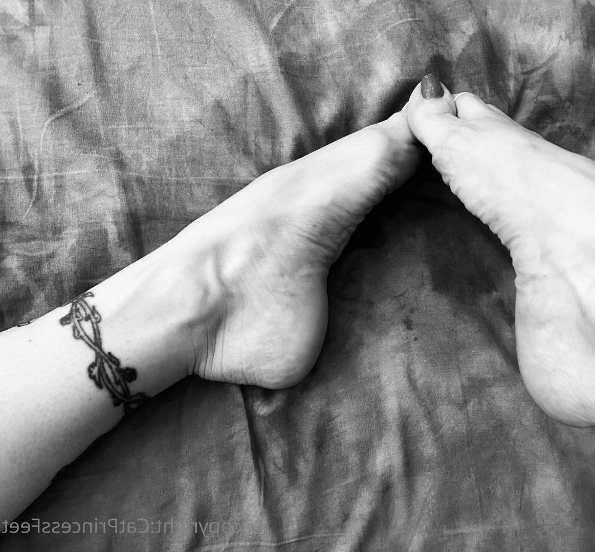 CatPrincess [ catprincessfeet ] Onlyfans leaked photo 7608467 on Hotleaks.tv