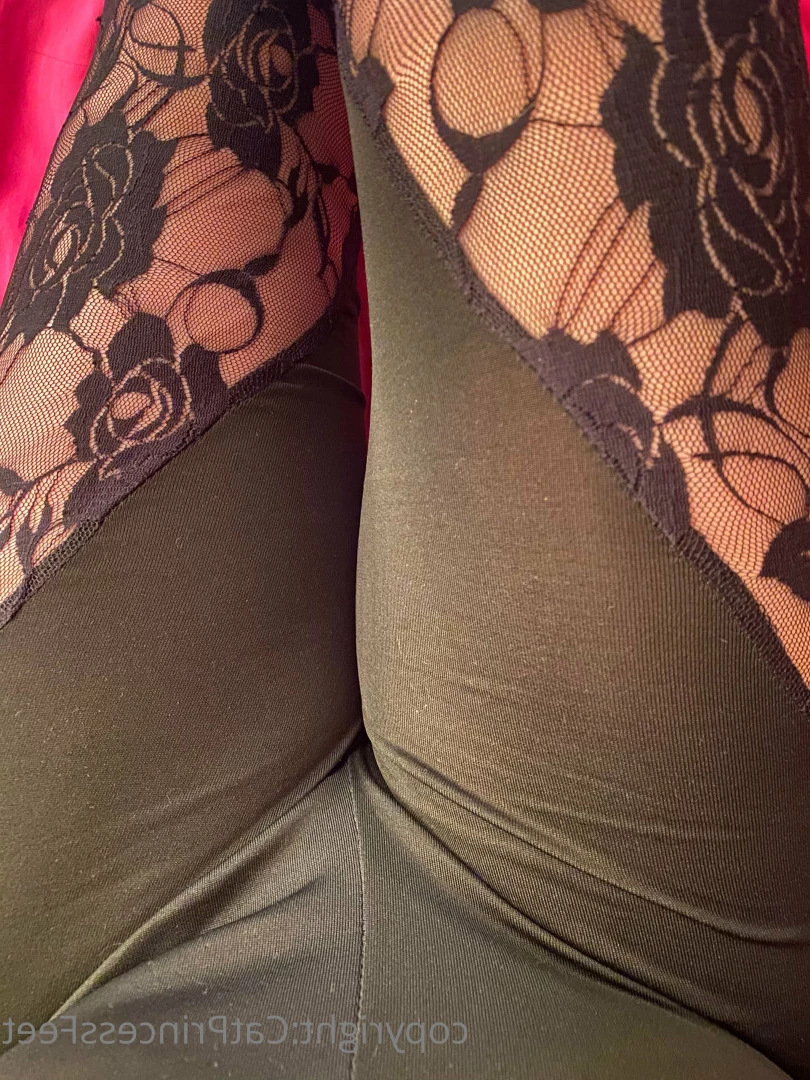 CatPrincess [ catprincessfeet ] Onlyfans leaked photo 7608772 on Hotleaks.tv