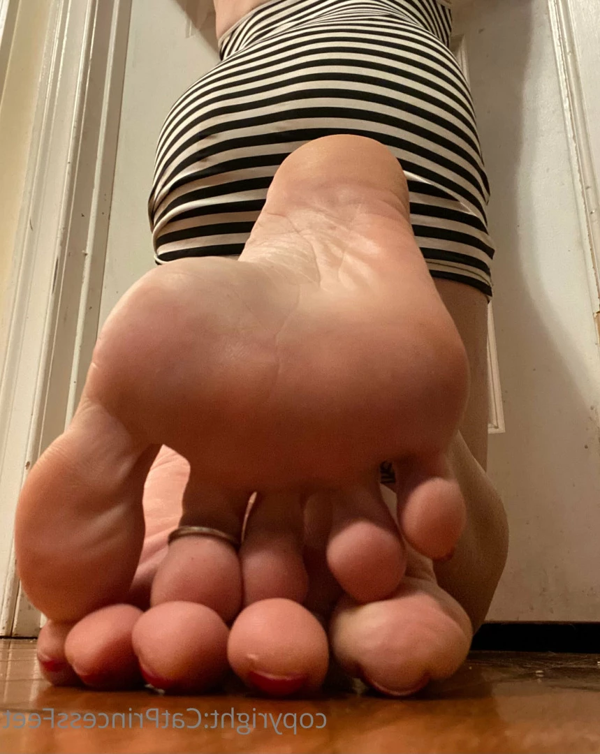 CatPrincess [ catprincessfeet ] Onlyfans leaked photo 7608828 on Hotleaks.tv