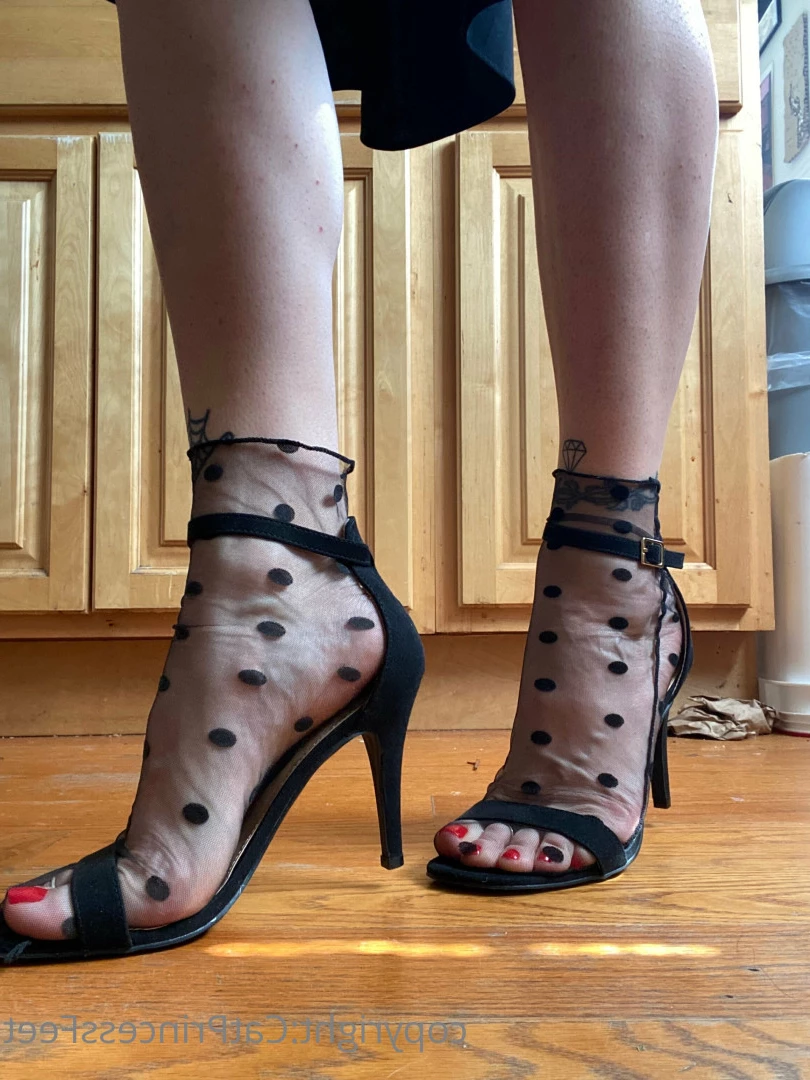 CatPrincess [ catprincessfeet ] Onlyfans leaked photo 7609080 on Hotleaks.tv