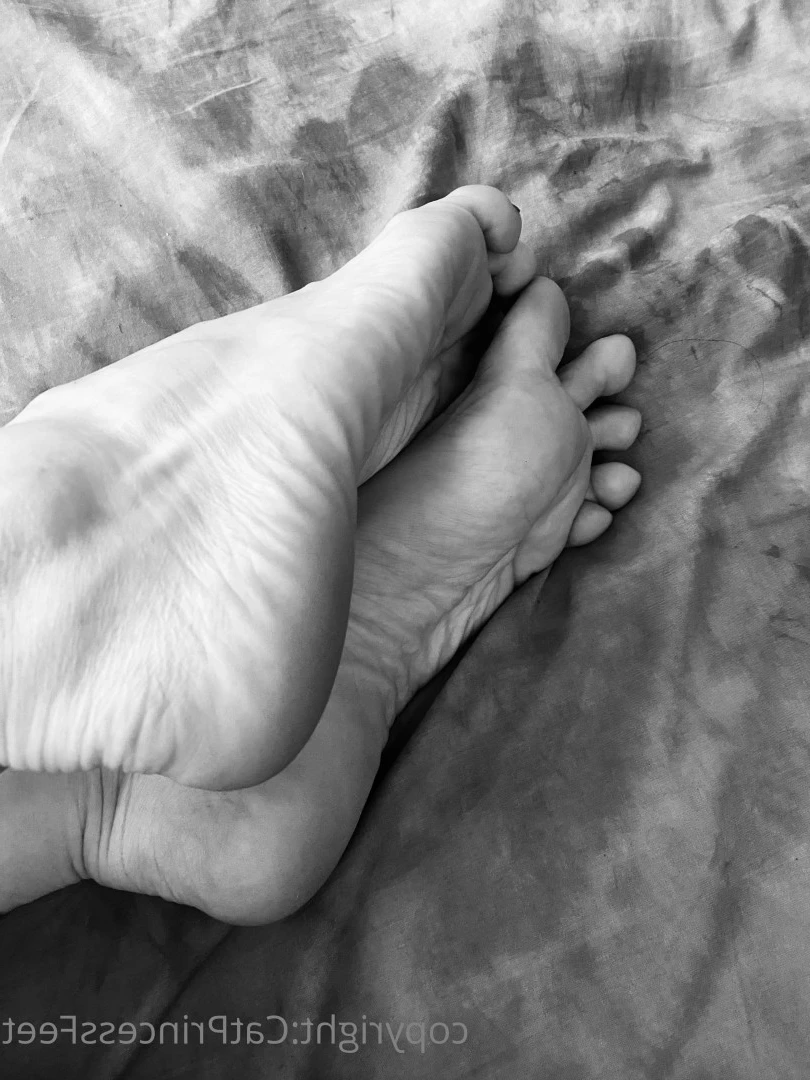 CatPrincess [ catprincessfeet ] Onlyfans leaked photo 7609648 on Hotleaks.tv