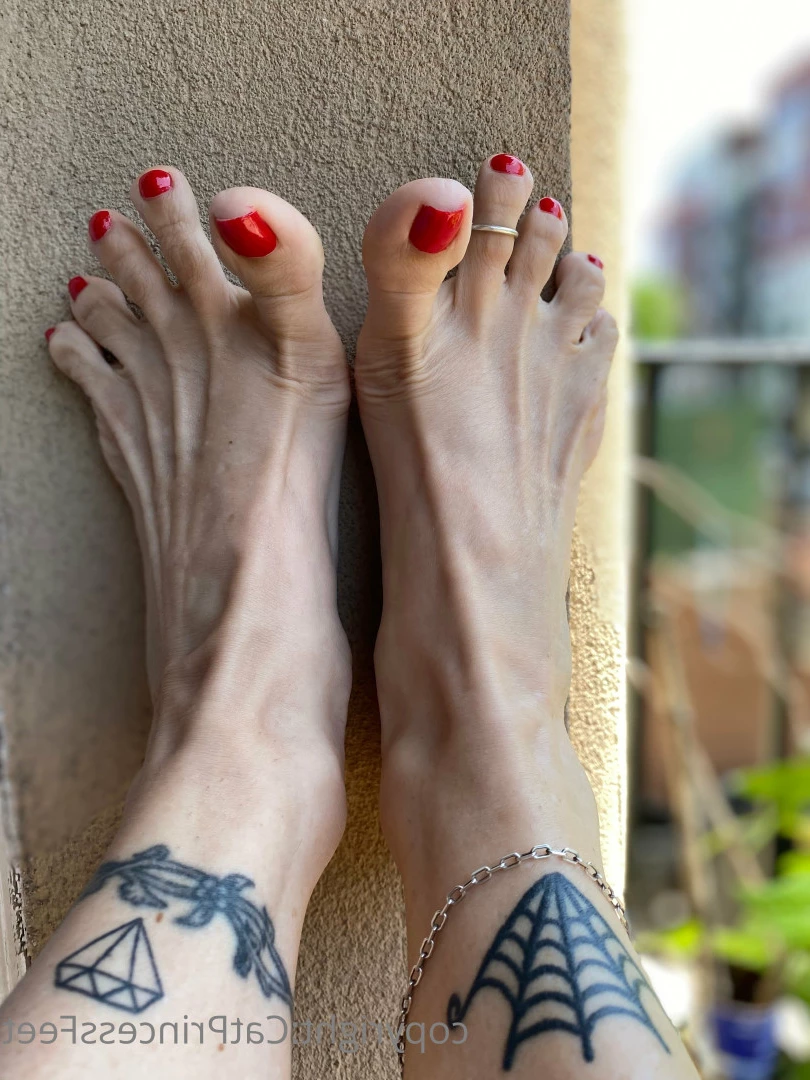 CatPrincess [ catprincessfeet ] Onlyfans leaked photo 7610169 on Hotleaks.tv