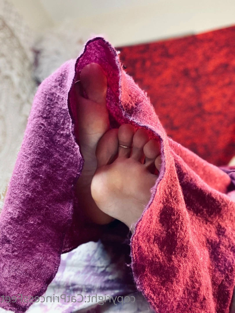 CatPrincess [ catprincessfeet ] Onlyfans leaked photo 7610429 on Hotleaks.tv