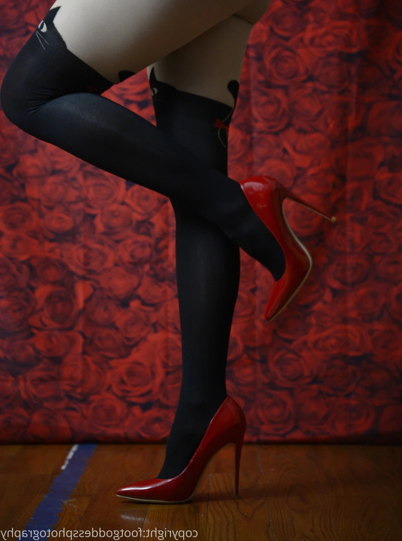 CatPrincess [ catprincessfeet ] Onlyfans leaked photo 7610520 on Hotleaks.tv