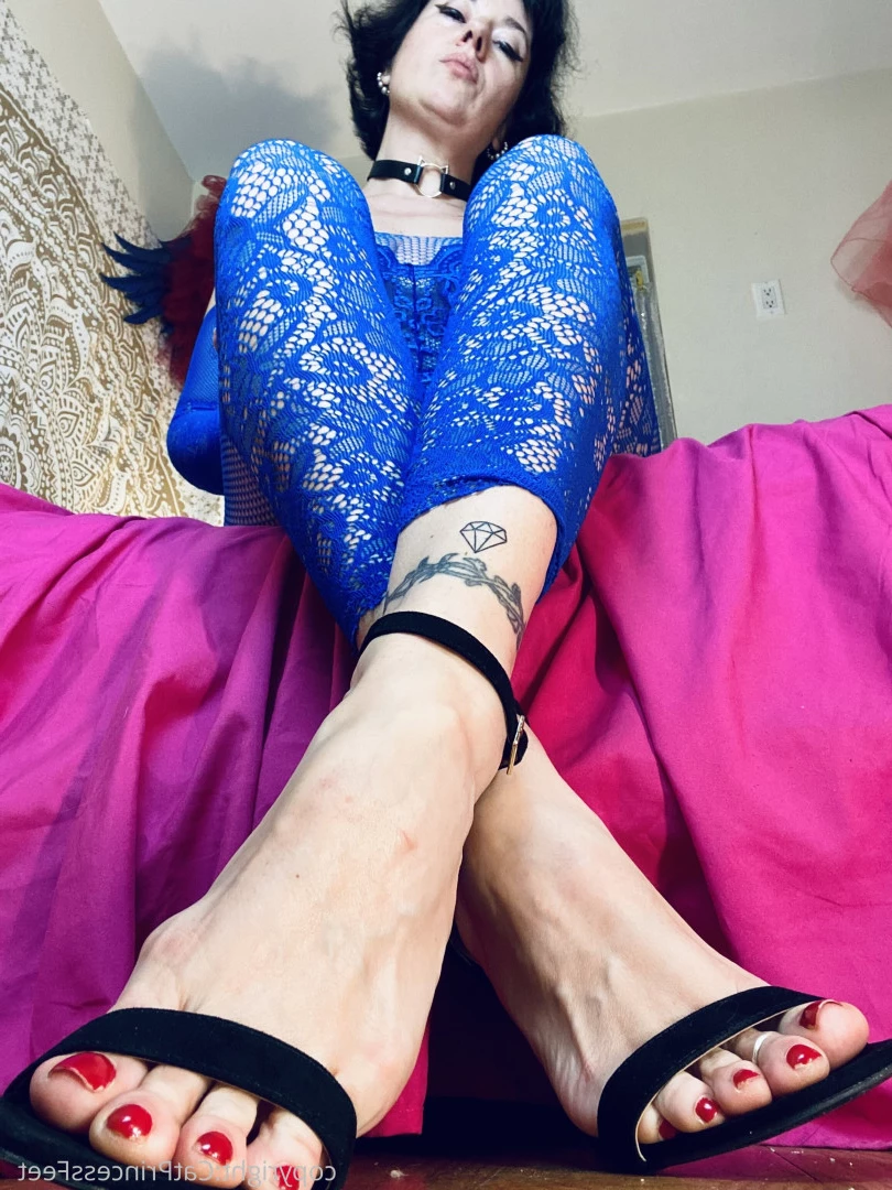 CatPrincess [ catprincessfeet ] Onlyfans leaked photo 7610694 on Hotleaks.tv