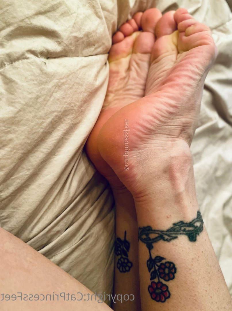 CatPrincess [ catprincessfeet ] Onlyfans leaked photo 7610917 on Hotleaks.tv