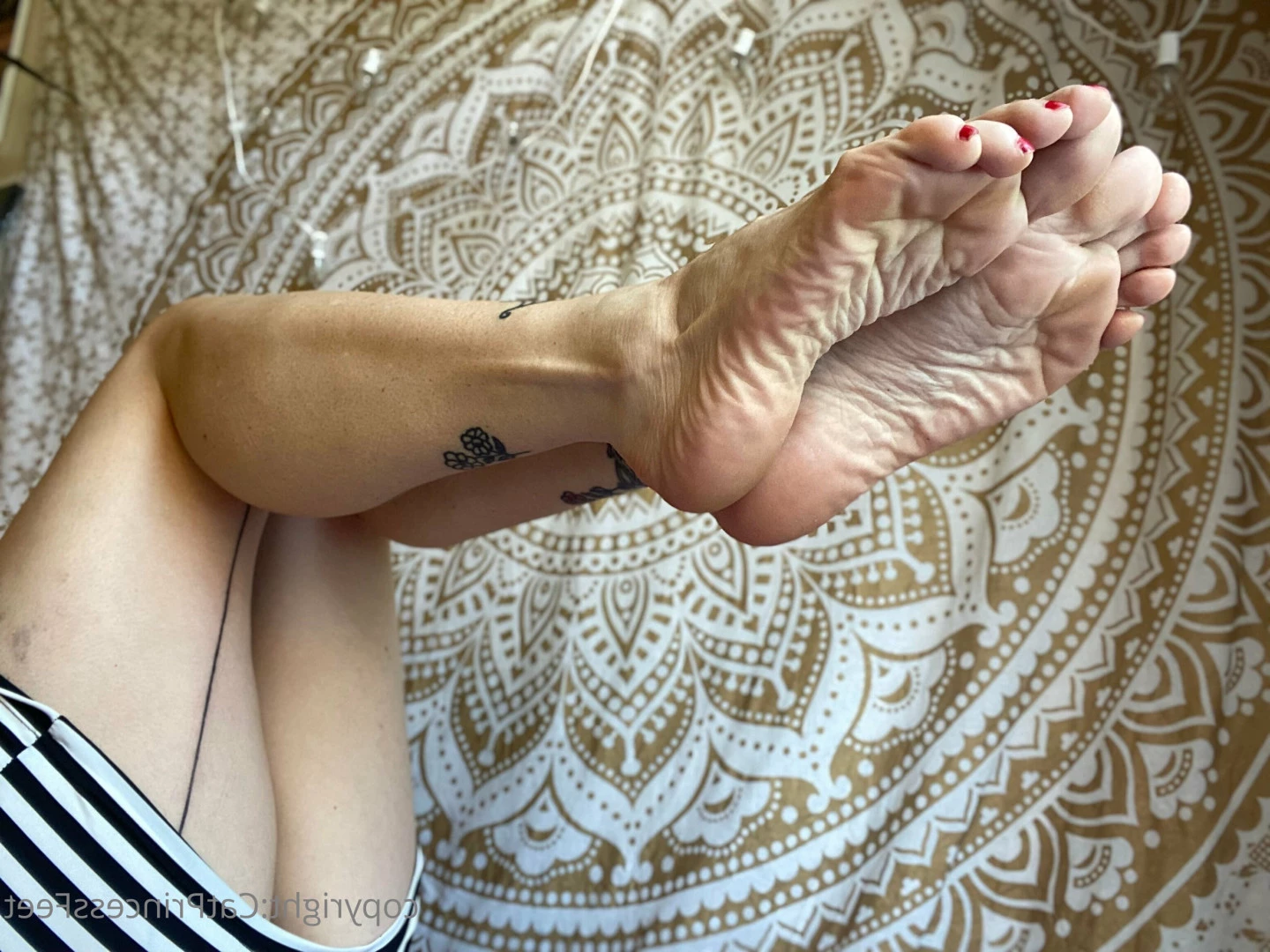 CatPrincess [ catprincessfeet ] Onlyfans leaked photo 7611150 on Hotleaks.tv
