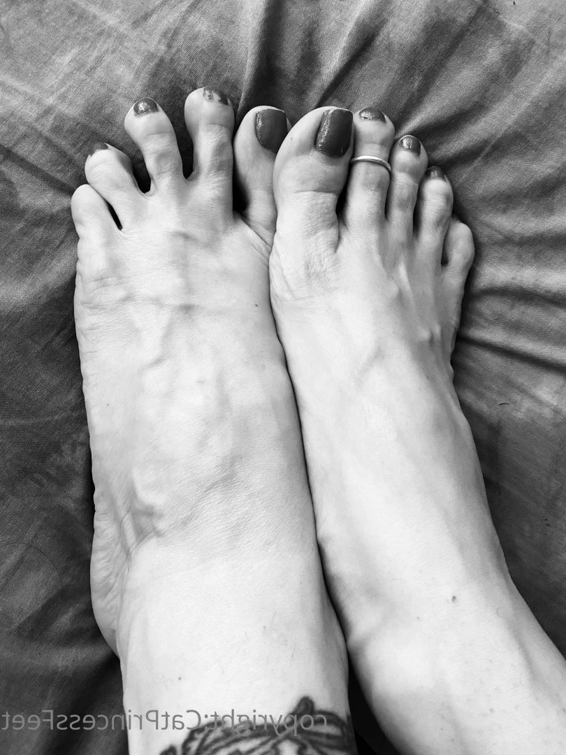 CatPrincess [ catprincessfeet ] Onlyfans leaked photo 7611231 on Hotleaks.tv