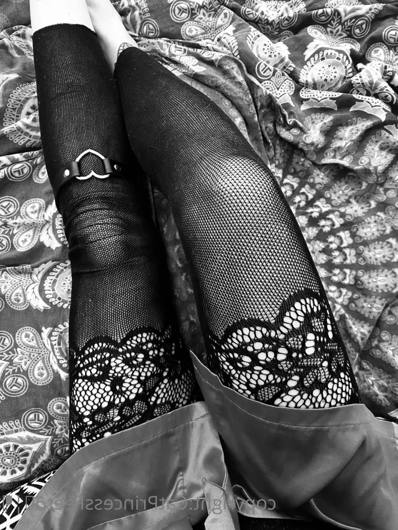 CatPrincess [ catprincessfeet ] Onlyfans leaked photo 7611269 on Hotleaks.tv