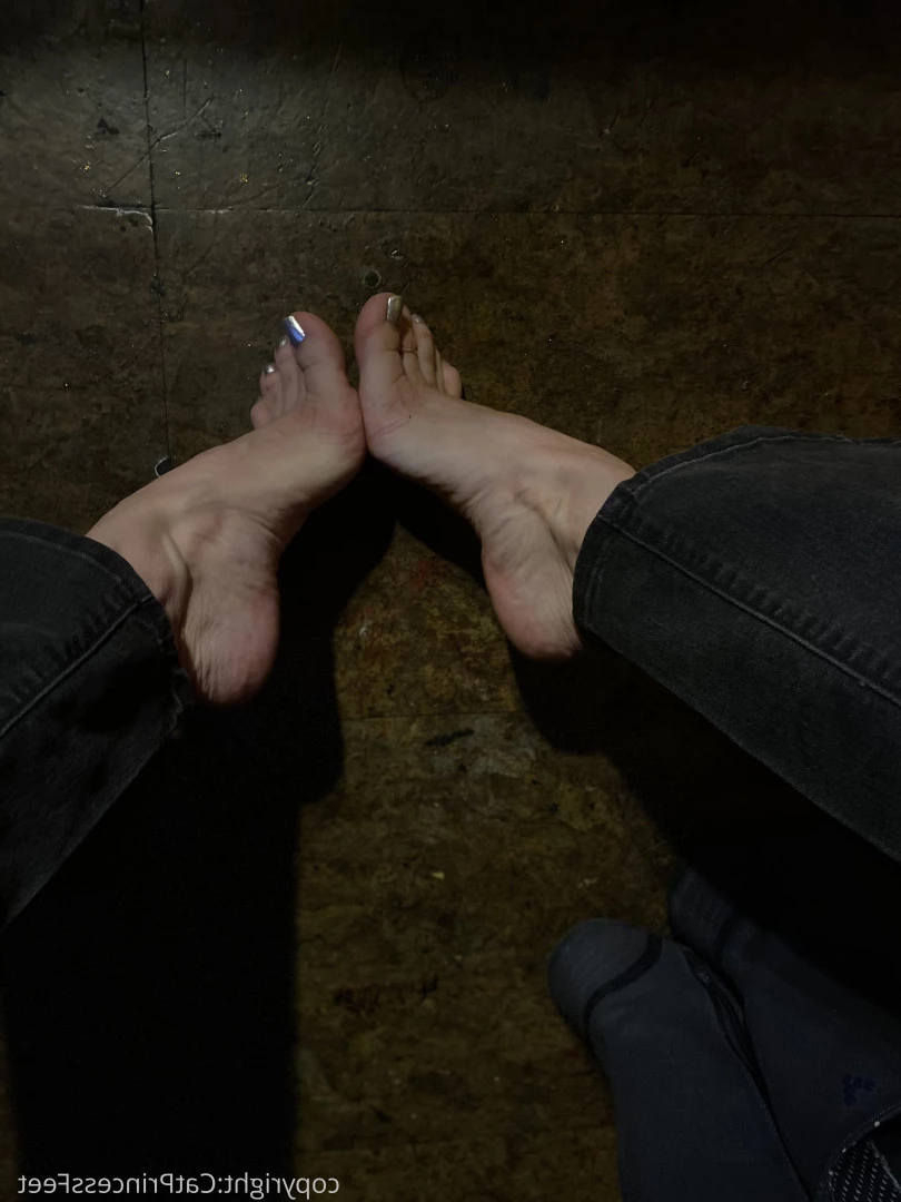 CatPrincess [ catprincessfeet ] Onlyfans leaked photo 7612367 on Hotleaks.tv