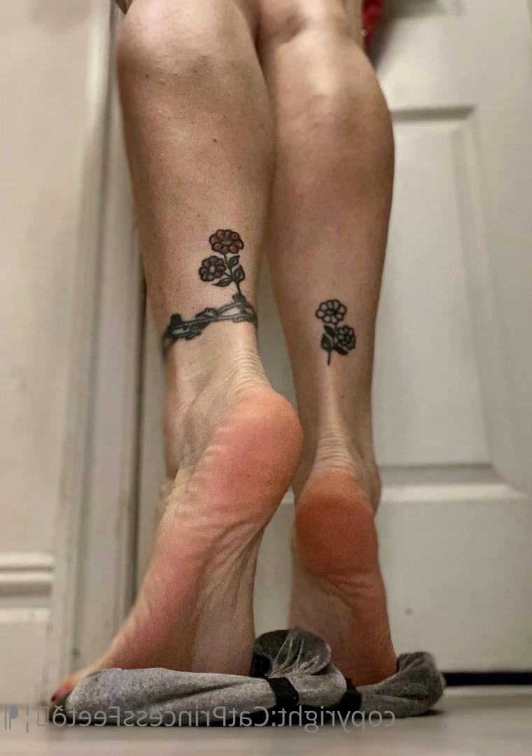 CatPrincess [ catprincessfeet ] Onlyfans leaked photo 7612408 on Hotleaks.tv