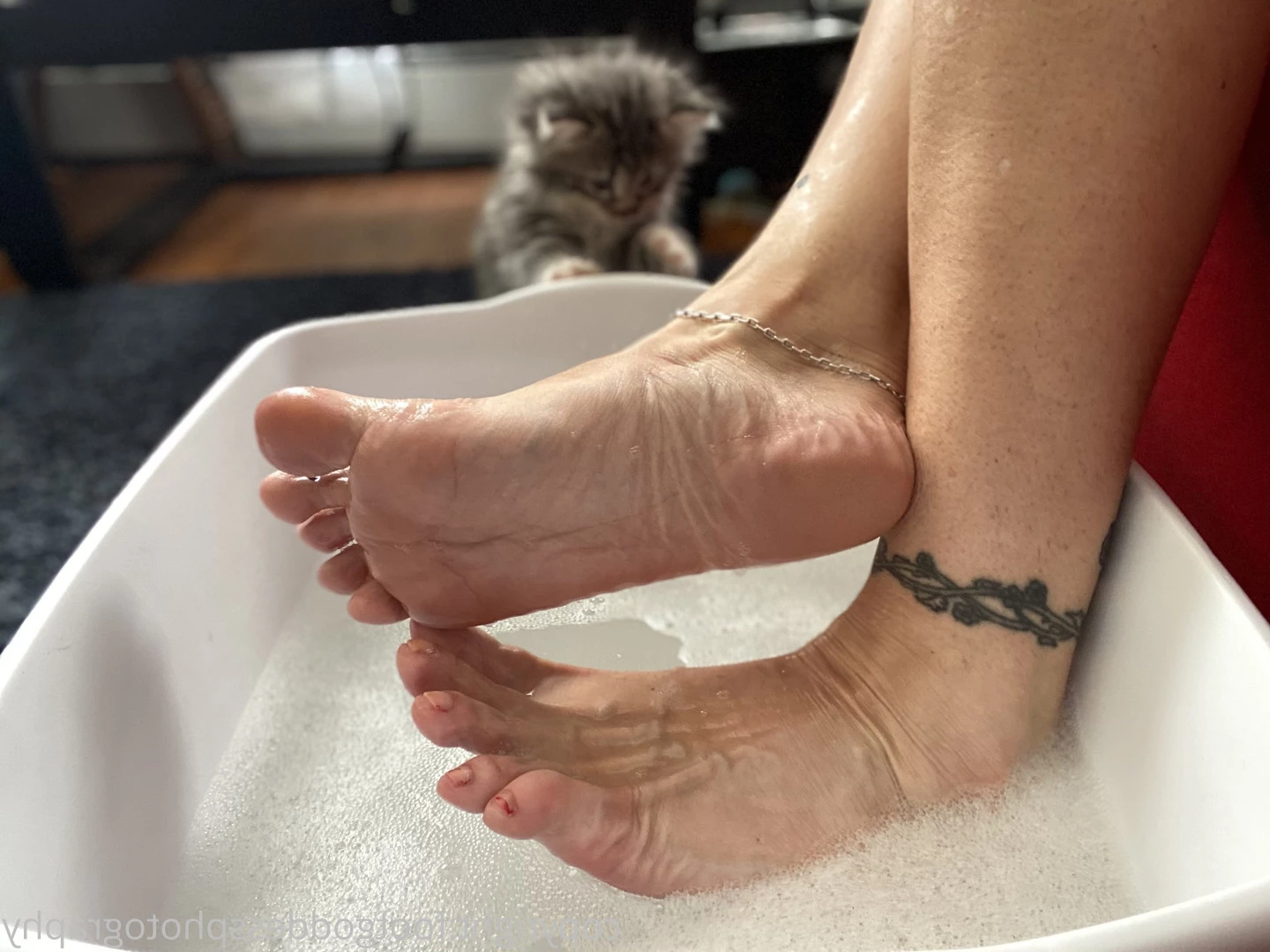 CatPrincess [ catprincessfeet ] Onlyfans leaked photo 7612897 on Hotleaks.tv