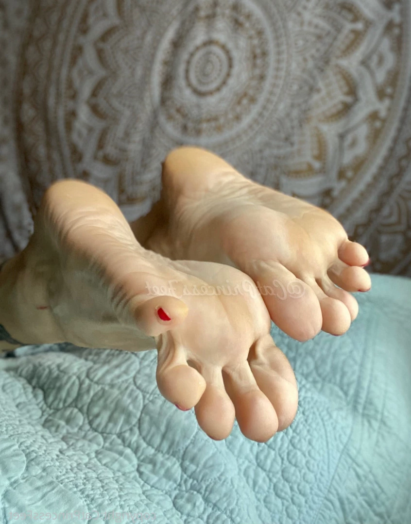 CatPrincess [ catprincessfeet ] Onlyfans leaked photo 7613040 on Hotleaks.tv