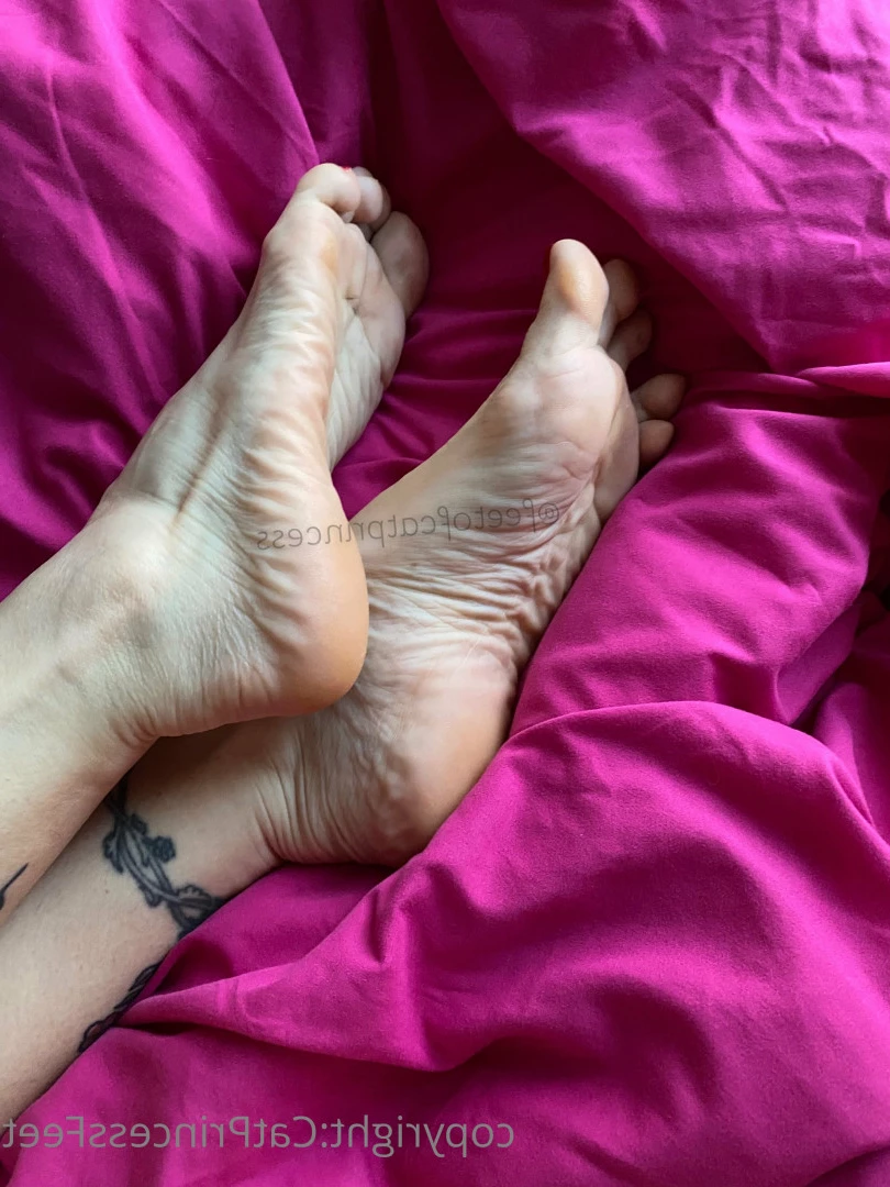 CatPrincess [ catprincessfeet ] Onlyfans leaked photo 7613123 on Hotleaks.tv