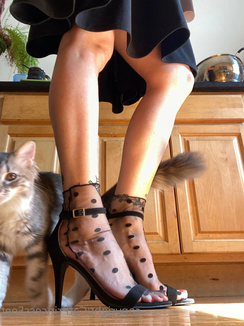 CatPrincess [ catprincessfeet ] Onlyfans leaked photo 7613213 on Hotleaks.tv
