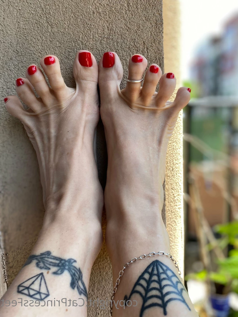 CatPrincess [ catprincessfeet ] Onlyfans leaked photo 7613356 on Hotleaks.tv