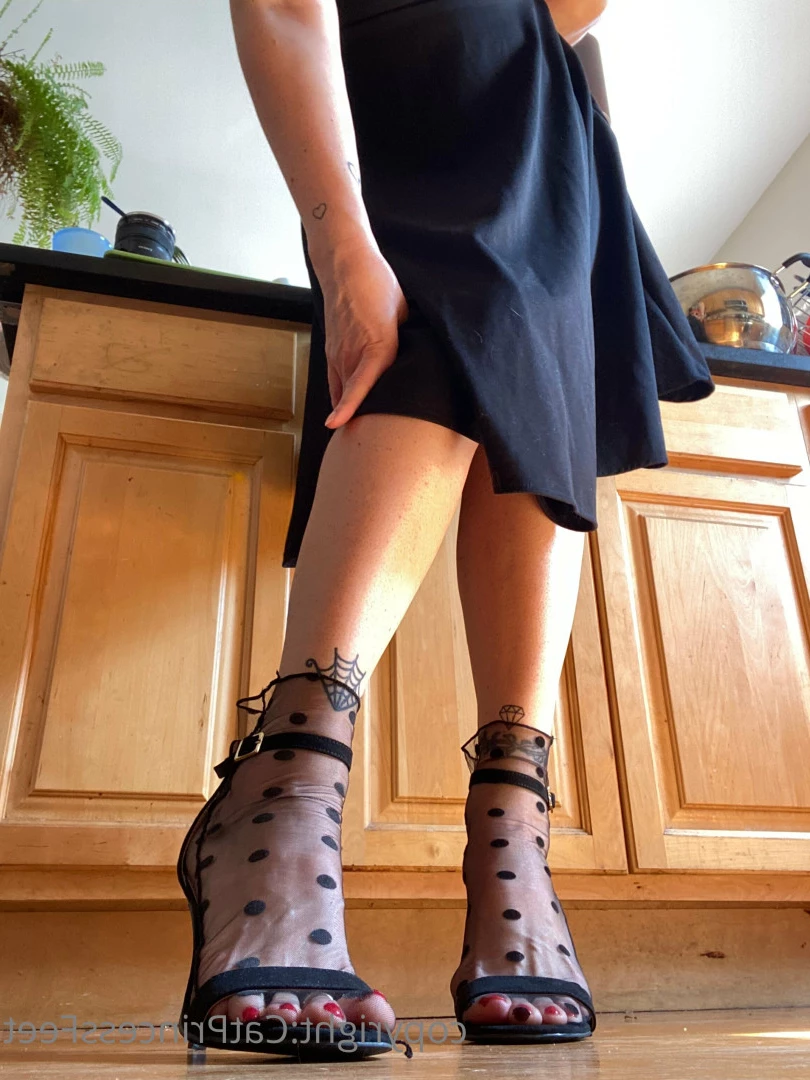 CatPrincess [ catprincessfeet ] Onlyfans leaked photo 7613806 on Hotleaks.tv