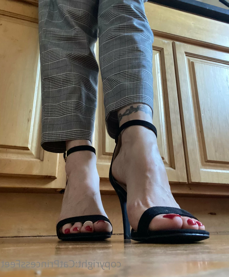 CatPrincess [ catprincessfeet ] Onlyfans leaked photo 7613843 on Hotleaks.tv