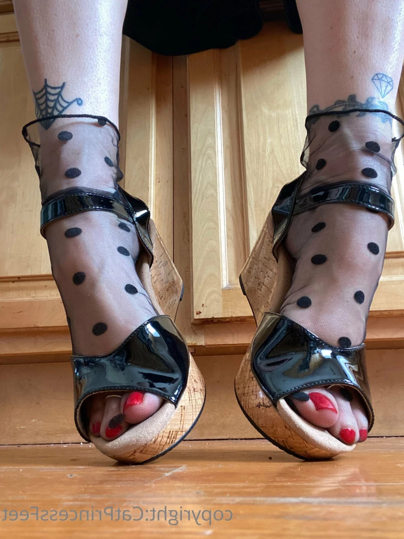CatPrincess [ catprincessfeet ] Onlyfans leaked photo 7613949 on Hotleaks.tv