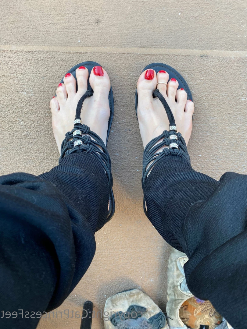 CatPrincess [ catprincessfeet ] Onlyfans leaked photo 7614201 on Hotleaks.tv
