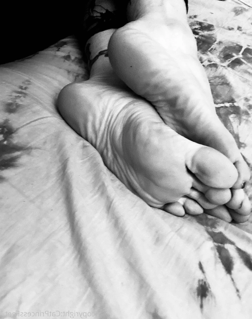 CatPrincess [ catprincessfeet ] Onlyfans leaked photo 7614541 on Hotleaks.tv
