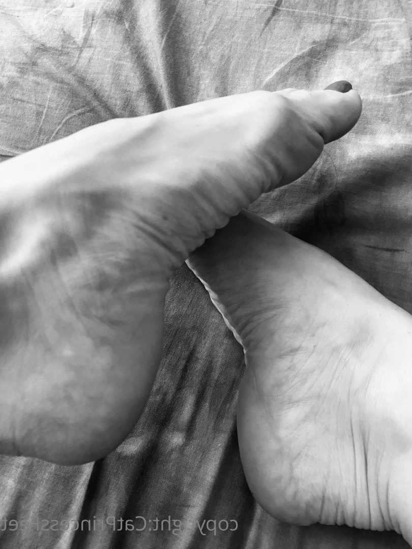 CatPrincess [ catprincessfeet ] Onlyfans leaked photo 7614661 on Hotleaks.tv