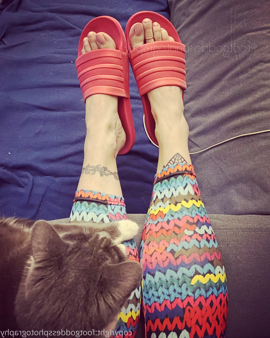 CatPrincess [ catprincessfeet ] Onlyfans leaked photo 7614979 on Hotleaks.tv