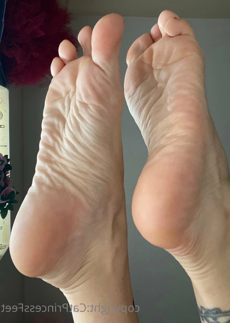CatPrincess [ catprincessfeet ] Onlyfans leaked photo 7614987 on Hotleaks.tv