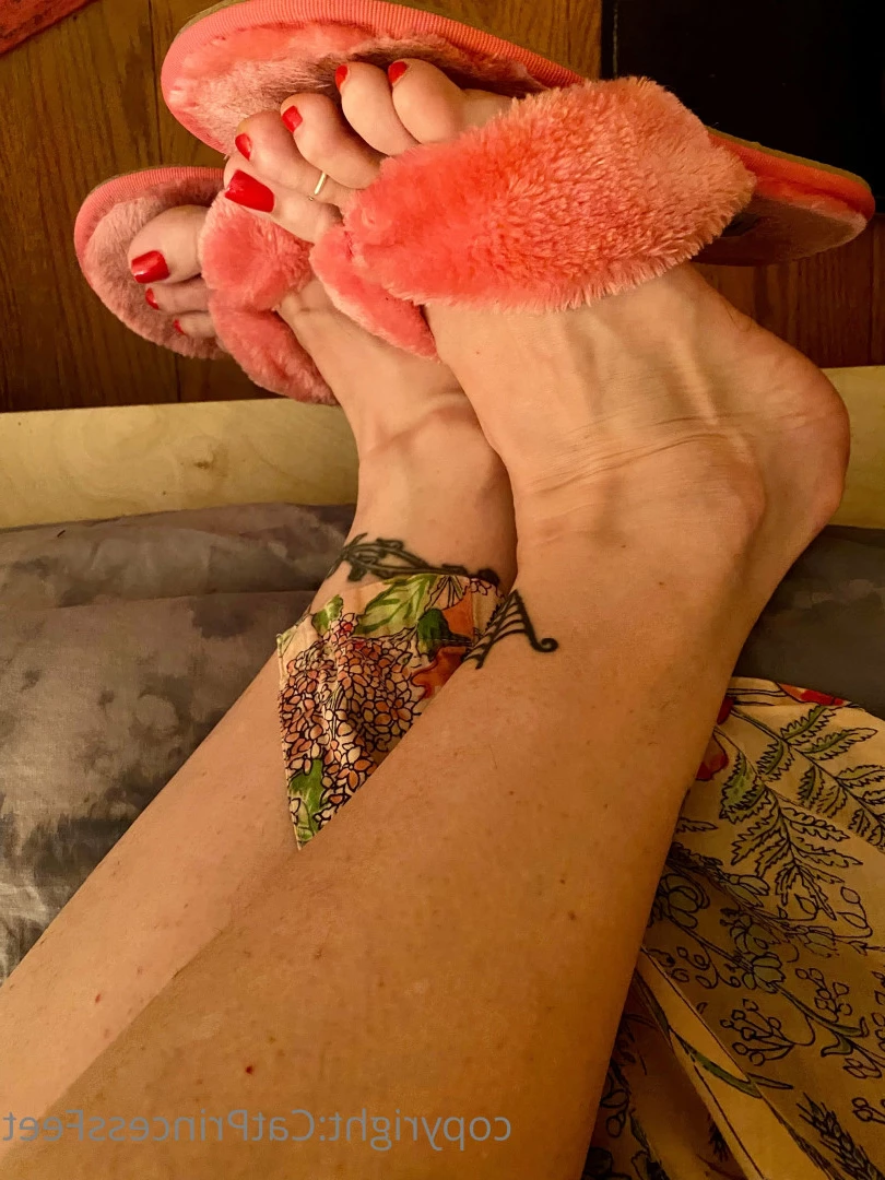 CatPrincess [ catprincessfeet ] Onlyfans leaked photo 7615511 on Hotleaks.tv