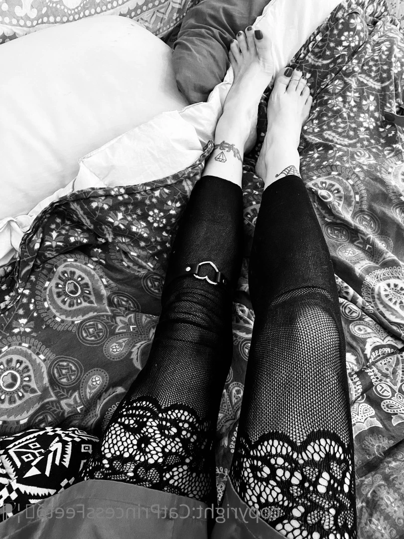 CatPrincess [ catprincessfeet ] Onlyfans leaked photo 7615642 on Hotleaks.tv