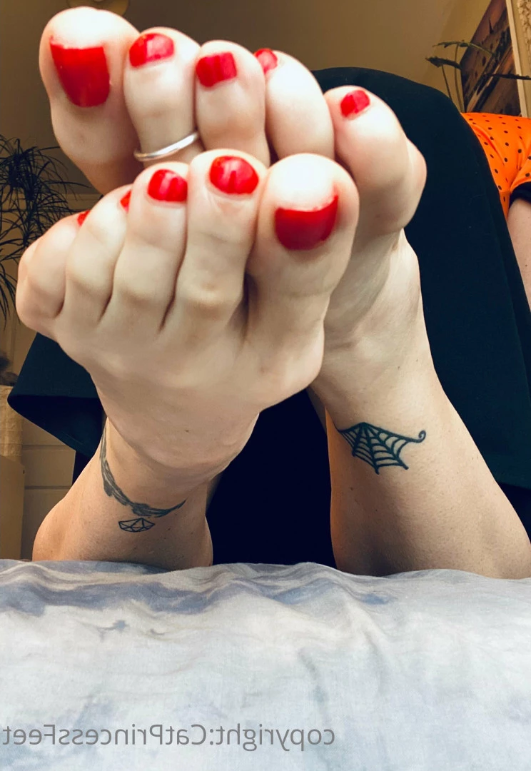 CatPrincess [ catprincessfeet ] Onlyfans leaked photo 7615960 on Hotleaks.tv