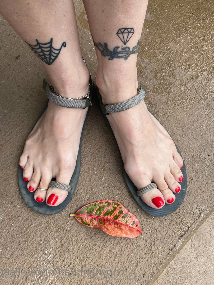 CatPrincess [ catprincessfeet ] Onlyfans leaked photo 7616433 on Hotleaks.tv