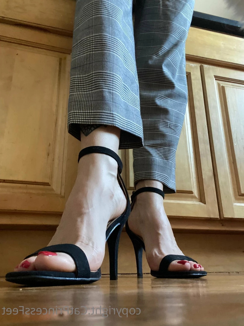 CatPrincess [ catprincessfeet ] Onlyfans leaked photo 7616507 on Hotleaks.tv