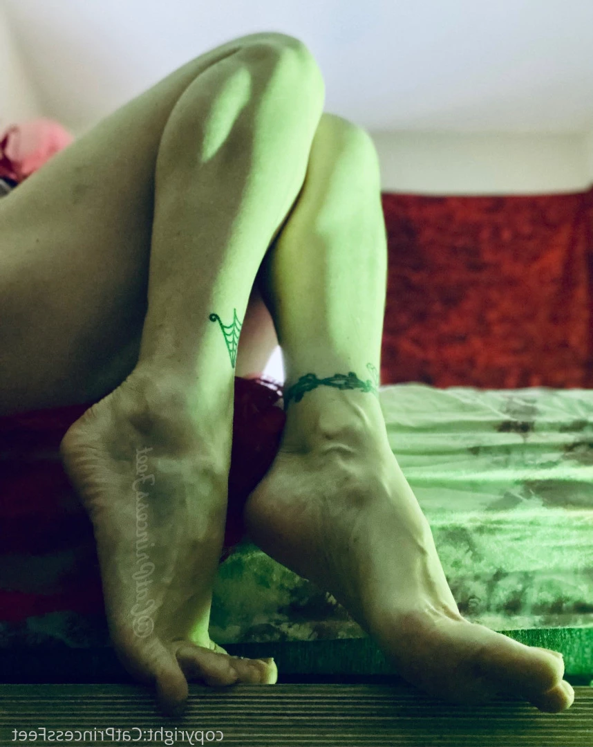 CatPrincess [ catprincessfeet ] Onlyfans leaked photo 7616513 on Hotleaks.tv