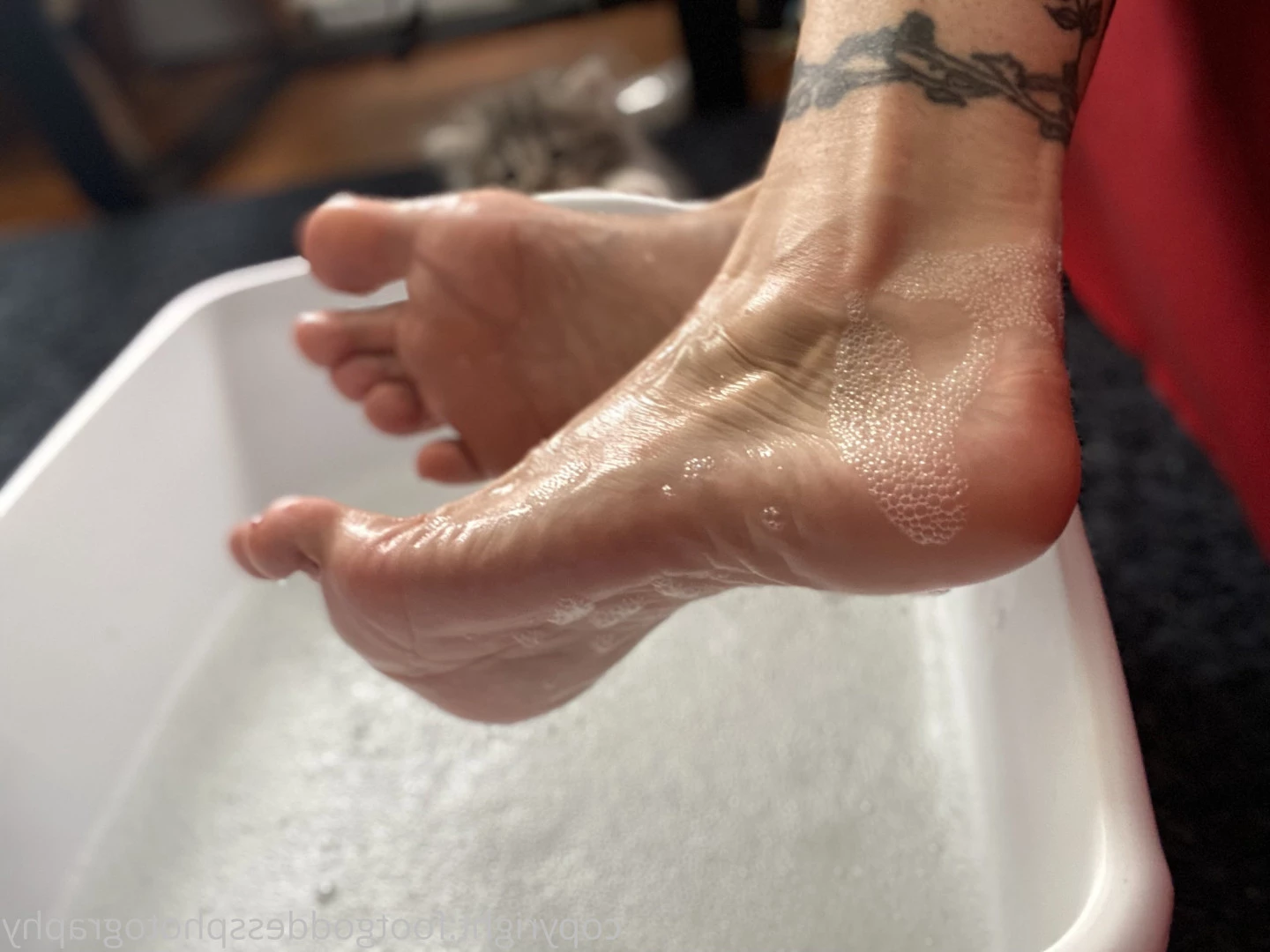CatPrincess [ catprincessfeet ] Onlyfans leaked photo 7616953 on Hotleaks.tv