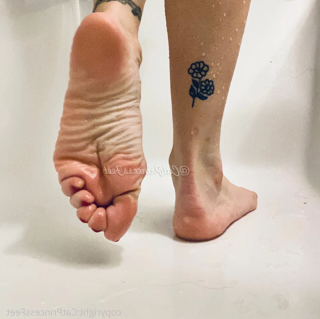 CatPrincess [ catprincessfeet ] Onlyfans leaked photo 7617112 on Hotleaks.tv