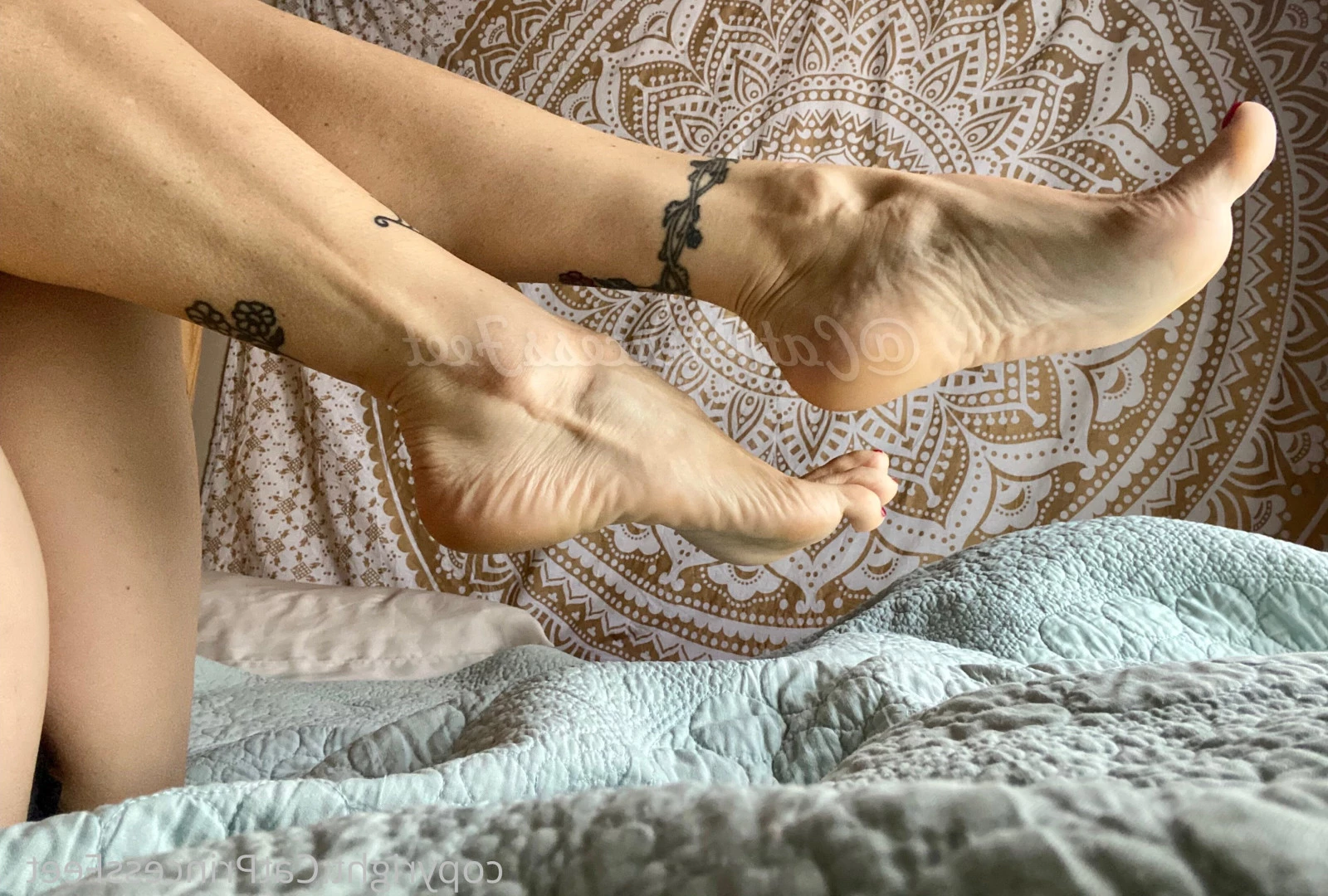CatPrincess [ catprincessfeet ] Onlyfans leaked photo 7617781 on Hotleaks.tv