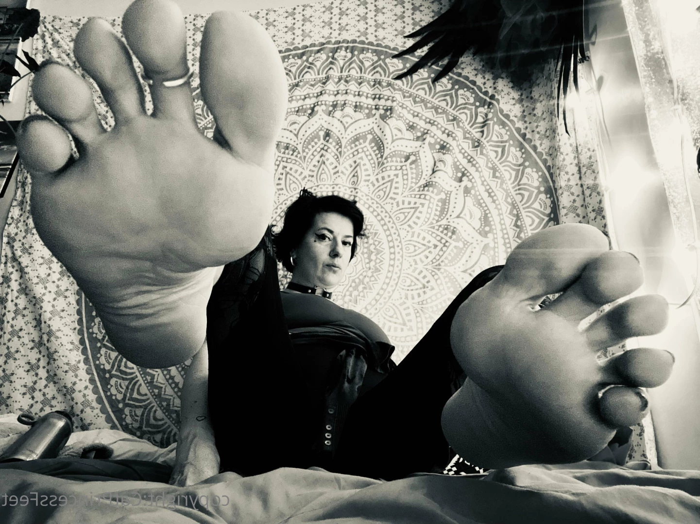 CatPrincess [ catprincessfeet ] Onlyfans leaked photo 7618029 on Hotleaks.tv