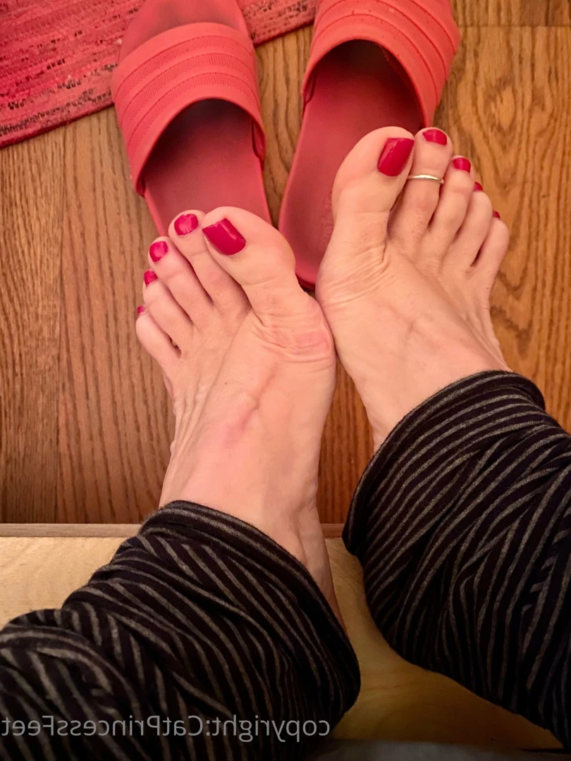 CatPrincess [ catprincessfeet ] Onlyfans leaked photo 7618121 on Hotleaks.tv