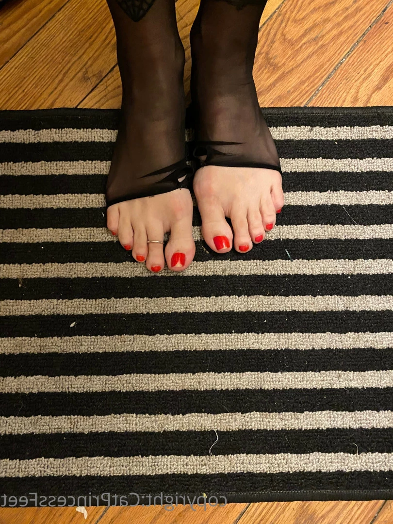 CatPrincess [ catprincessfeet ] Onlyfans leaked photo 7618144 on Hotleaks.tv